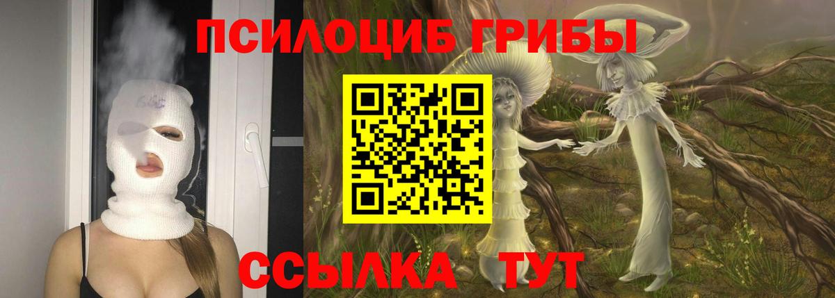 Псилоцибиновые грибы мицелий Шебекино